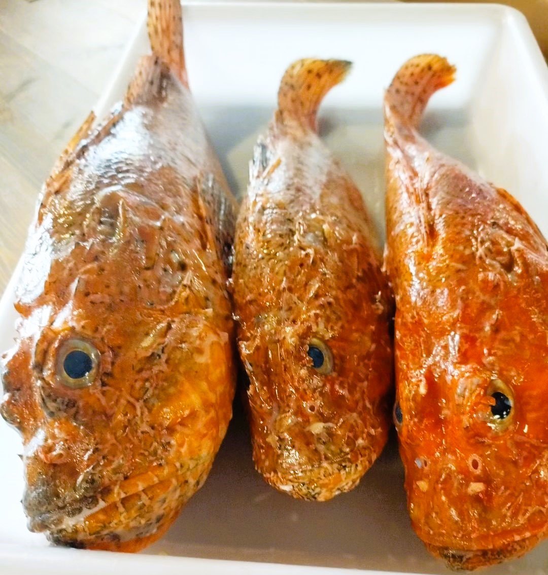 El peix que més m’agrada és el Cap Roig, un peix robust amb moltes espines i d’un color ataronjat i vermell tacat que el fa ben coneixedor.